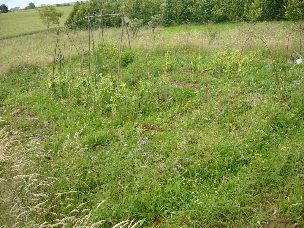 P1030887